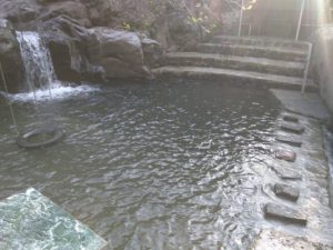 Waterfall Jangeshu - Waterfall Kasauli - Waterfall - Paradise Valley